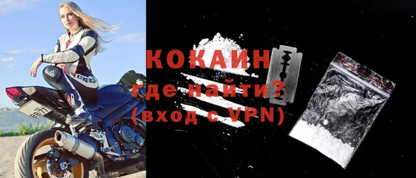 тгк Инсар