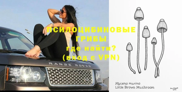 Альфа ПВП Ступино