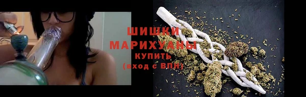 сатива Инта
