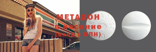 сатива Инта