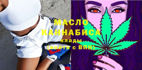 тгк Инсар