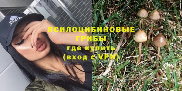 сатива Инта