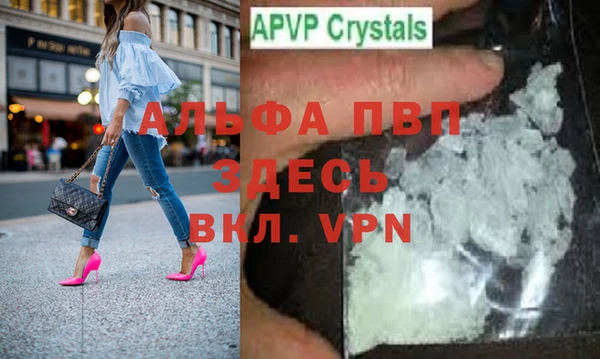 сатива Инта