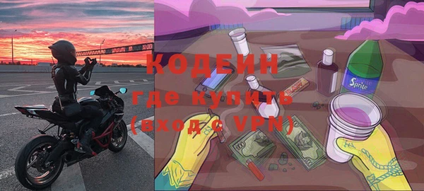 сатива Инта