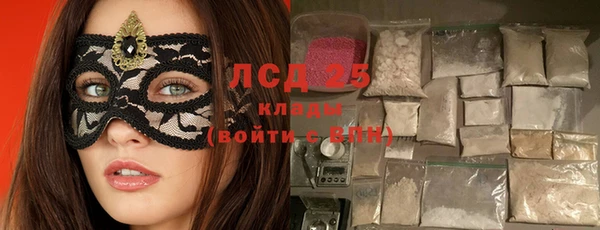 тгк Инсар